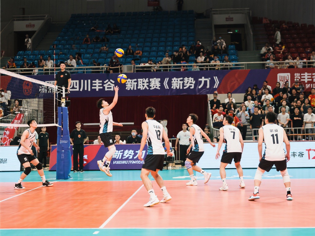 六位主力球 六位主力球